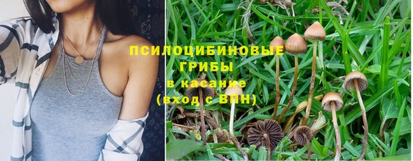 дживик Беломорск