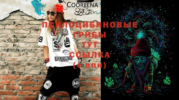 крисы Белоозёрский