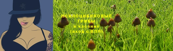 дживик Беломорск