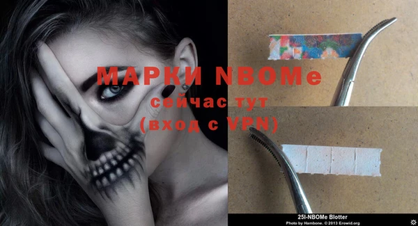 крисы Белоозёрский