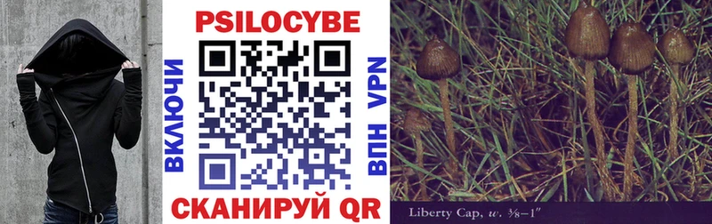 Псилоцибиновые грибы GOLDEN TEACHER  Иркутск 